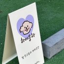 하이뭉하 네이버블로그
