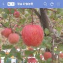청송하늘농원