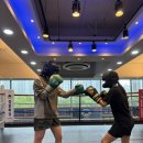 킹콩복싱아카데미 이미지