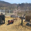 스테이 수궁 이미지