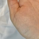 티피앤코 이미지