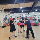 H3복싱체육관 이미지
