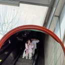 GS25 수성만촌점 | [W09] 디오벨리 만촌직영점 맞춤 예복 후기 👔