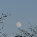 류카센타 | 비니의 일상