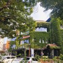 아이비586 이미지