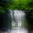 숨골