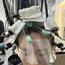 희정헤어센스