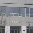 세종MVG 이미지