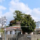 법환동-11 이미지