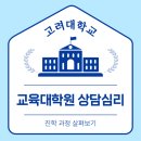 고려대학교(세종) 행정대학원 | 고려대 교육대학원 상담심리 수월하게 준비했던 과정