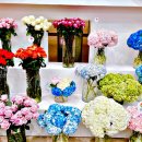 꽃과사람들 | 2026 고양국제꽃박람회 후기｜사람 많을까? 주차·동선·꿀팁 총정리 (실제 다녀옴)