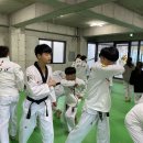 아리랑 멋 제일태권도장 이미지