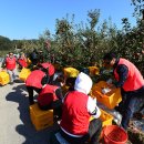 최용순농장 이미지