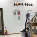 이리온 양재점 이미지