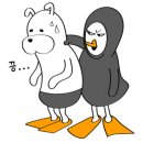갈라파고스프리다이빙