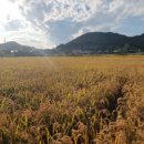 고금체육관 이미지