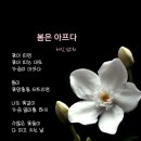 어느 모녀의 슬픈 실화 이야기(우리딸 사랑해) 이미지