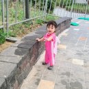 도래새미공원 | 진주 물놀이터 도래새미공원 외 3곳 후기