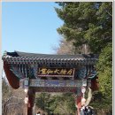 [강원도여행] 평창 가볼만한 곳