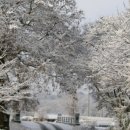 양촌리마을 이미지