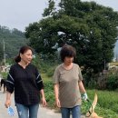 도그피아 애견 훈련 학교 이미지