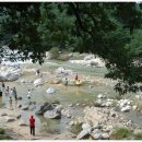 동반자산악회 2014년 야유회~함양 &#34;화림계곡 선비길&#34; 이미지