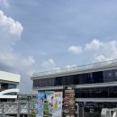 통창공원 | 막힘없는 한강 뷰를 통창으로! 스타벅스 여의도 한강공원점 방문 후기