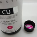 스파시스 이미지