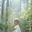 첸 카카오 검색결과