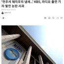 "전주서 돼지우리 냄새…" KBS, 라디오 출연 기자 발언 논란 사과 이미지