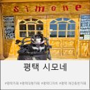[주말] 핸드드립커피 | 애견 동반 가능한 핸드드립 커피 맛집 평택 카페 시모네 주말 방문 후기