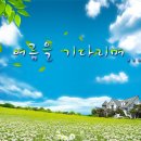 캘리그라피(B) 이미지