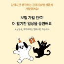 브라운동물병원 | 펫보험 마이브라운 vs 펫퍼민트 내돈내산 가입 후기