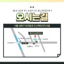 메이저성형외과의원 이미지