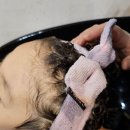 라라사랑방 이미지