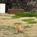 쎄미하우스 이미지