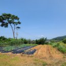 강화길공인중개사사무소 이미지