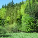 무곡주유소 이미지