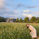 맑은물 사업소 옆 공원 이미지