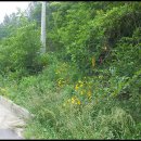 월송모텔 이미지