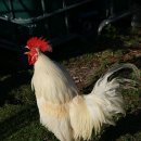 지혜농장 이미지