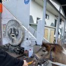 서유목장 이미지