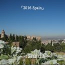 재수드림농장 | 2016 스포모 열세 번째. 그라나다 (1) :: 스페인의 마지막 이슬람 유산, 알함브라 궁전 투어