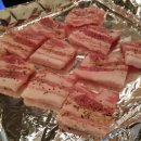 도그스101 이미지