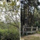 봄·여름·가을 코스 이미지