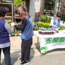 초록발자국 이미지