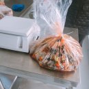 자매돌산갓김치 이미지