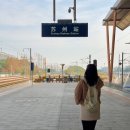 G7280 | 상하이에서 쑤저우 상해역 기차타고 가는 방법 자세한 후기