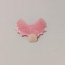 서울아산이치과의원 | 부러짐 신경치료 크라운으로 살리기 어렵다면 관양동 치과 발치 즉시 임플란트와 임시치아로 심미성 지키기