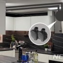 디앤아이 이미지